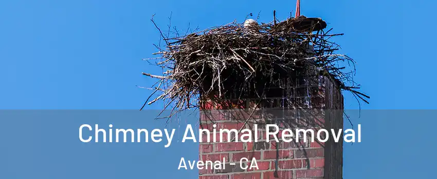  Chimney Animal Removal Avenal - CA