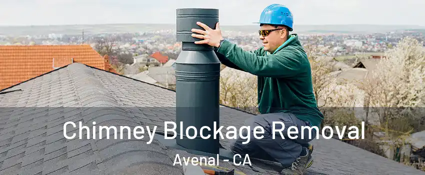  Chimney Blockage Removal Avenal - CA