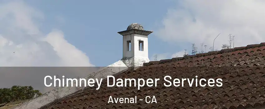  Chimney Damper Services Avenal - CA