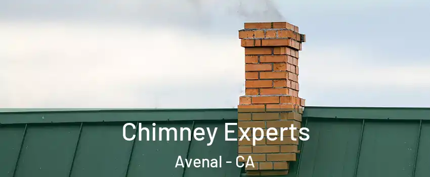  Chimney Experts Avenal - CA