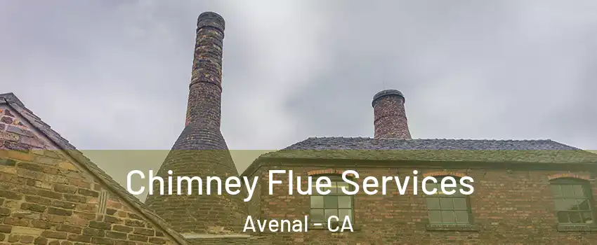  Chimney Flue Services Avenal - CA
