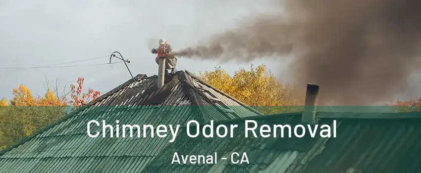  Chimney Odor Removal Avenal - CA