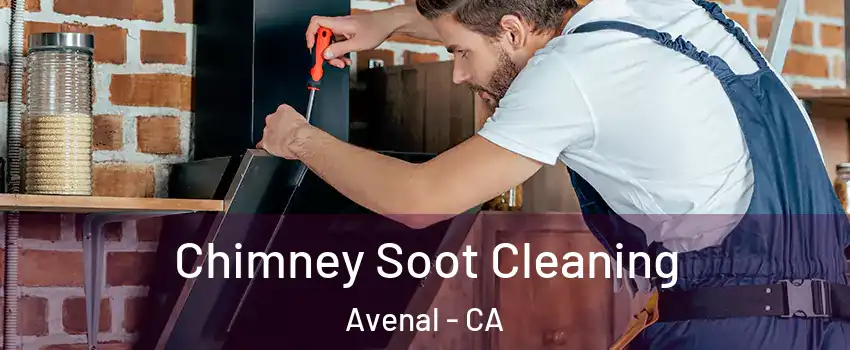  Chimney Soot Cleaning Avenal - CA