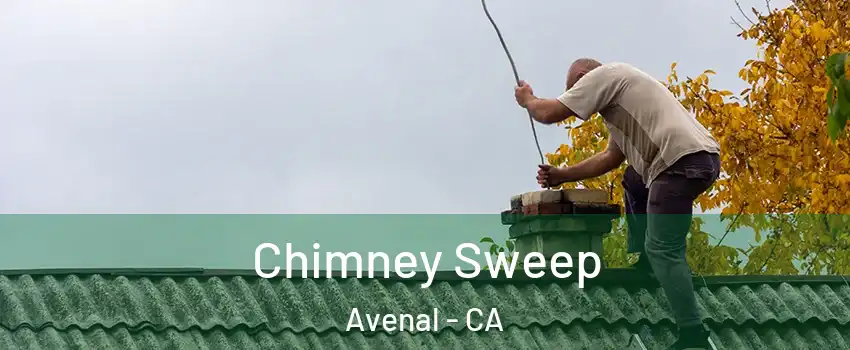  Chimney Sweep Avenal - CA