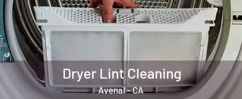  Dryer Lint Cleaning Avenal - CA