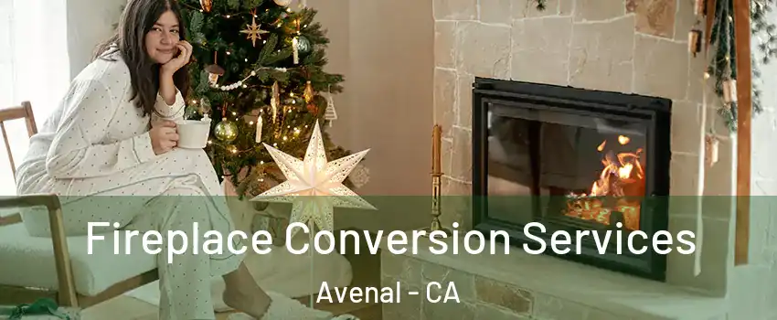  Fireplace Conversion Services Avenal - CA