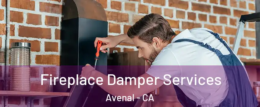  Fireplace Damper Services Avenal - CA