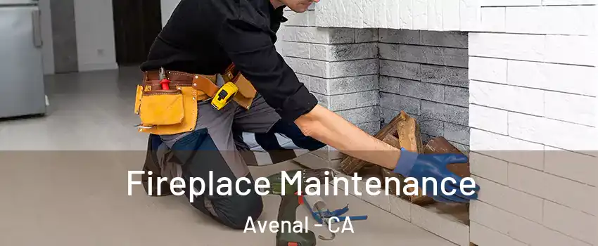  Fireplace Maintenance Avenal - CA
