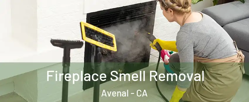  Fireplace Smell Removal Avenal - CA