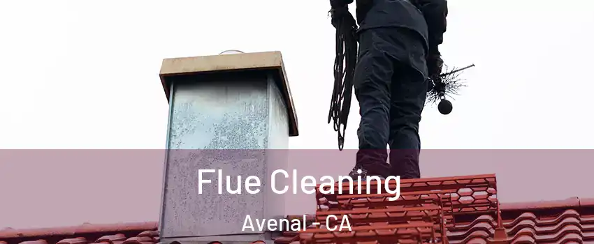  Flue Cleaning Avenal - CA