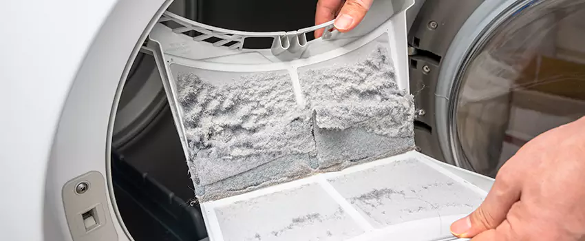 Best Dryer Lint Removal Company in Avenal, California